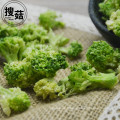 Videz les morceaux de broccoli de fd, les morceaux de légumes, les casse-croûte sains à faible teneur en matière grasse
